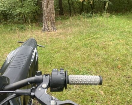 Kovi Інша, об'ємом двигуна 0.25 л та пробігом 0 тис. км за 1851 $, фото 16 на Automoto.ua
