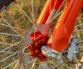 Kovi Другая 2021 в Ильинцах на Automoto.ua Kovi Другая, объемом двигателя 0.25 л и пробегом 0 тыс. км за 3500 $, фото 8 на Automoto.ua