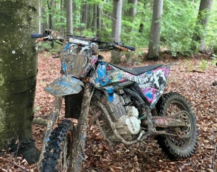 Kovi Інша, об'ємом двигуна 0.25 л та пробігом 0 тис. км за 850 $, фото 4 на Automoto.ua