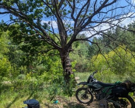 Kovi Другая, объемом двигателя 0.25 л и пробегом 0 тыс. км за 1499 $, фото 10 на Automoto.ua