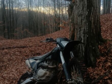 Kovi Другая, объемом двигателя 0.3 л и пробегом 0 тыс. км за 1916 $, фото 1 на Automoto.ua