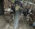 Зеленый Kovi JNR 250, объемом двигателя 0 л и пробегом 370 тыс. км за 1400 $, фото 2 на Automoto.ua