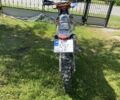 Kovi Lite 300 2024 в Гоще на Automoto.ua Kovi Lite 300, объемом двигателя 0.3 л и пробегом 0 тыс. км за 2400 $, фото 3 на Automoto.ua