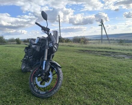Kovi Verta 2020 в Бережанах на Automoto.ua Kovi Verta, объемом двигателя 0.2 л и пробегом 0 тыс. км за 1214 $, фото 3 на Automoto.ua