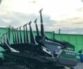 Mainero Другая, объемом двигателя 0 л и пробегом 0 тыс. км за 43886 $, фото 3 на Automoto.ua