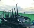Зелений Mainero MDD-200, об'ємом двигуна 0 л та пробігом 0 тис. км за 47412 $, фото 1 на Automoto.ua