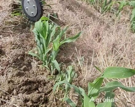 Коричневый MaxiMarin Другая, объемом двигателя 0 л и пробегом 0 тыс. км за 15155 $, фото 11 на Automoto.ua