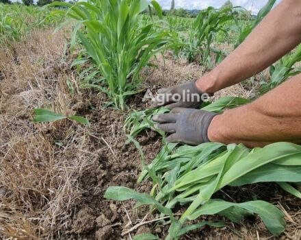 Коричневый MaxiMarin Другая, объемом двигателя 0 л и пробегом 0 тыс. км за 15155 $, фото 12 на Automoto.ua