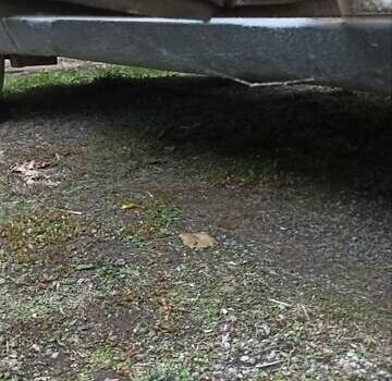 Білий Москвич/АЗЛК 2140, об'ємом двигуна 1.5 л та пробігом 50 тис. км за 1000 $, фото 14 на Automoto.ua