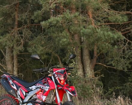 МОТО Інша, об'ємом двигуна 0.3 л та пробігом 0 тис. км за 2600 $, фото 3 на Automoto.ua