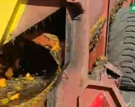 Moty KE 3000, объемом двигателя 0 л и пробегом 0 тыс. км за 36719 $, фото 5 на Automoto.ua