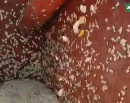 Moty KE 3000, объемом двигателя 0 л и пробегом 0 тыс. км за 36719 $, фото 2 на Automoto.ua