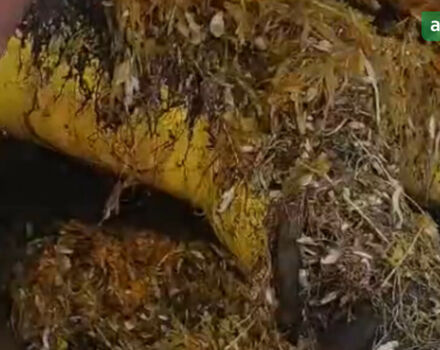 Moty KE 3000, объемом двигателя 0 л и пробегом 0 тыс. км за 36719 $, фото 4 на Automoto.ua