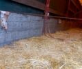 Напівпричіп Фрюхауф, об'ємом двигуна 0 л та пробігом 0 тис. км за 3000 $, фото 1 на Automoto.ua