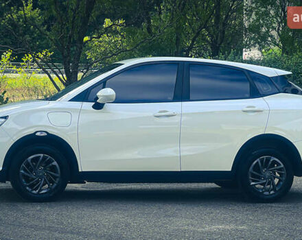 Белый Neta V, объемом двигателя 0 л и пробегом 35 тыс. км за 14500 $, фото 3 на Automoto.ua