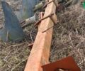 Одессапочвомаш ПЛН 5-35, об'ємом двигуна 0 л та пробігом 0 тис. км за 2912 $, фото 1 на Automoto.ua