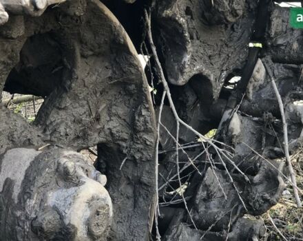 ОТЗ ТДТ-55 1991 в Рахове на Automoto.ua ОТЗ ТДТ-55, объемом двигателя 0 л и пробегом 0 тыс. км за 11500 $, фото 5 на Automoto.ua