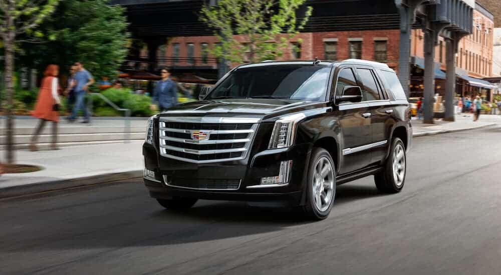 Розкішний Cadillac Escalade 2020 року на дорозі