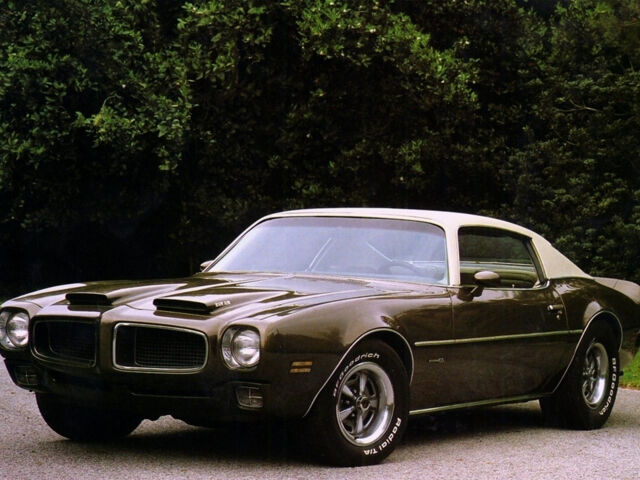 Обзор тест-драйва: Pontiac Firebird 