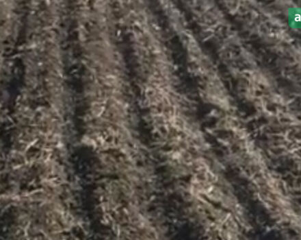 Partner 7, объемом двигателя 0 л и пробегом 60 тыс. км за 31000 $, фото 3 на Automoto.ua