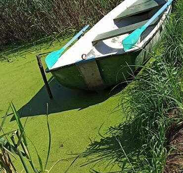 Пелла-Фиорд 4, объемом двигателя 0 л и пробегом 0 тыс. км за 750 $, фото 1 на Automoto.ua