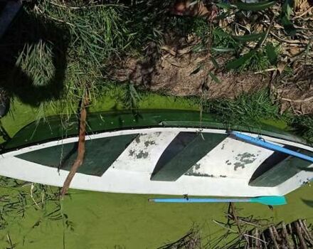 Пелла-Фиорд 4, объемом двигателя 0 л и пробегом 0 тыс. км за 750 $, фото 2 на Automoto.ua