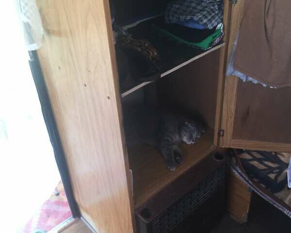 Білий Адриа 390, об'ємом двигуна 0 л та пробігом 20 тис. км за 4000 $, фото 12 на Automoto.ua