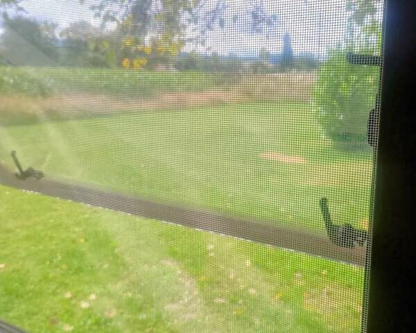 Білий Адриа Classica 513 UP, об'ємом двигуна 0 л та пробігом 0 тис. км за 12937 $, фото 26 на Automoto.ua