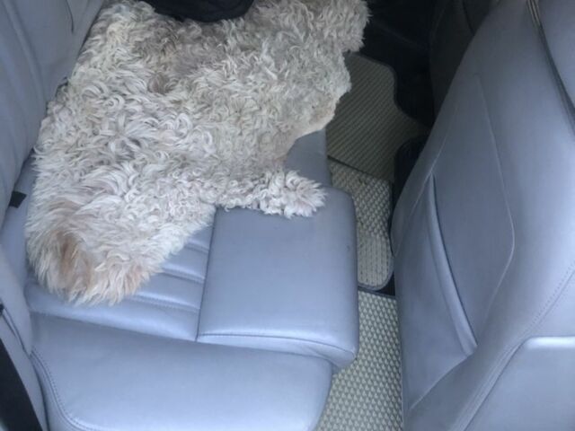 Серый Альфа 155, объемом двигателя 1.9 л и пробегом 320 тыс. км за 3200 $, фото 3 на Automoto.ua