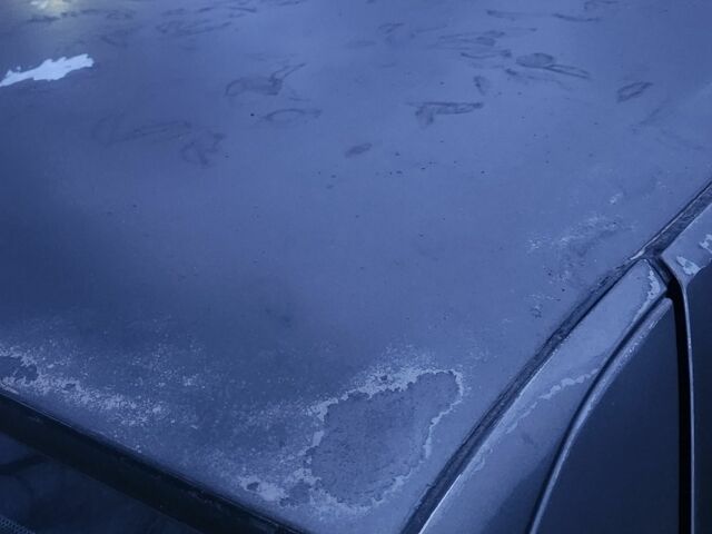 Сірий Альфа Ромео 155, об'ємом двигуна 0 л та пробігом 360 тис. км за 1000 $, фото 6 на Automoto.ua