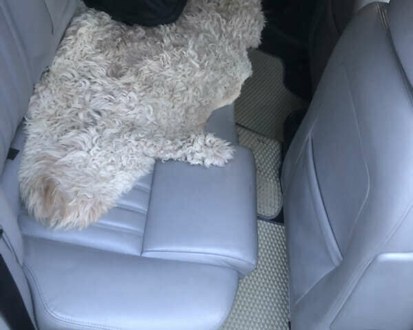 Серый Альфа Ромео 156, объемом двигателя 1.91 л и пробегом 320 тыс. км за 3800 $, фото 4 на Automoto.ua