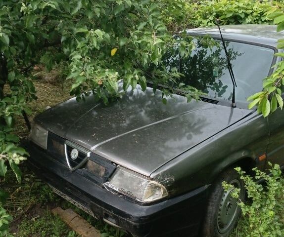 Сірий Альфа Ромео 33, об'ємом двигуна 0 л та пробігом 29 тис. км за 600 $, фото 7 на Automoto.ua