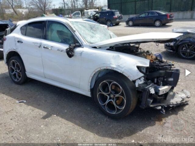 Білий Альфа Ромео Стелвіо, об'ємом двигуна 0 л та пробігом 46 тис. км за 7500 $, фото 2 на Automoto.ua