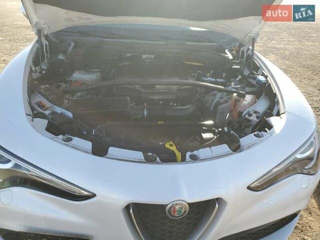 Білий Альфа Ромео Стелвіо, об'ємом двигуна 2 л та пробігом 28 тис. км за 6000 $, фото 10 на Automoto.ua