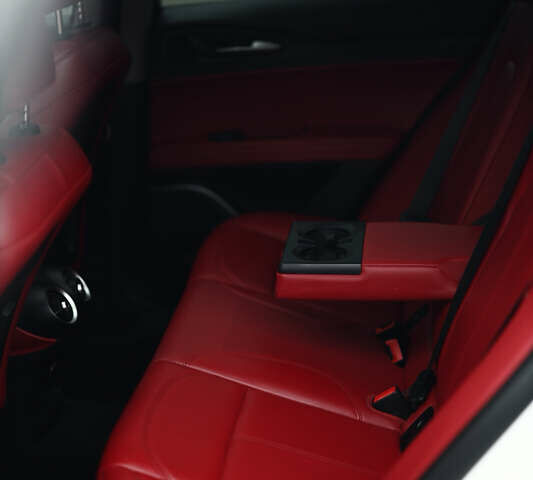 Белый Альфа Ромео Стелвио, объемом двигателя 2 л и пробегом 54 тыс. км за 30000 $, фото 12 на Automoto.ua