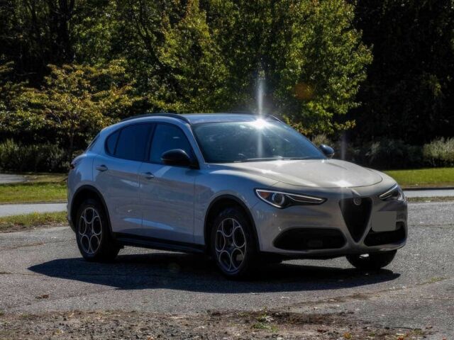 Серый Альфа Ромео Стелвио, объемом двигателя 2 л и пробегом 20 тыс. км за 18900 $, фото 1 на Automoto.ua