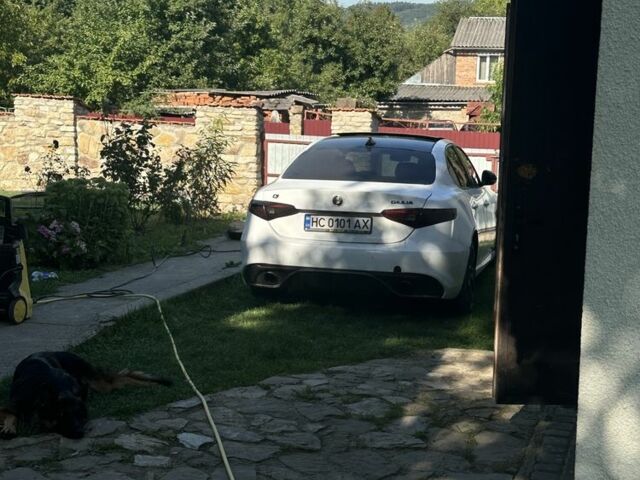 Белый Альфа Giulia, объемом двигателя 2 л и пробегом 40 тыс. км за 24000 $, фото 5 на Automoto.ua