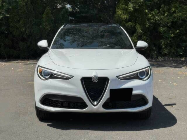 Белый Альфа stelvio, объемом двигателя 2 л и пробегом 10 тыс. км за 16000 $, фото 1 на Automoto.ua