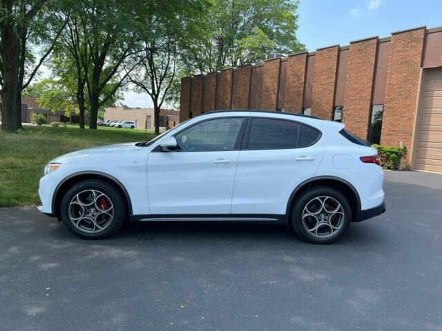 Белый Альфа stelvio, объемом двигателя 2 л и пробегом 21 тыс. км за 10000 $, фото 3 на Automoto.ua