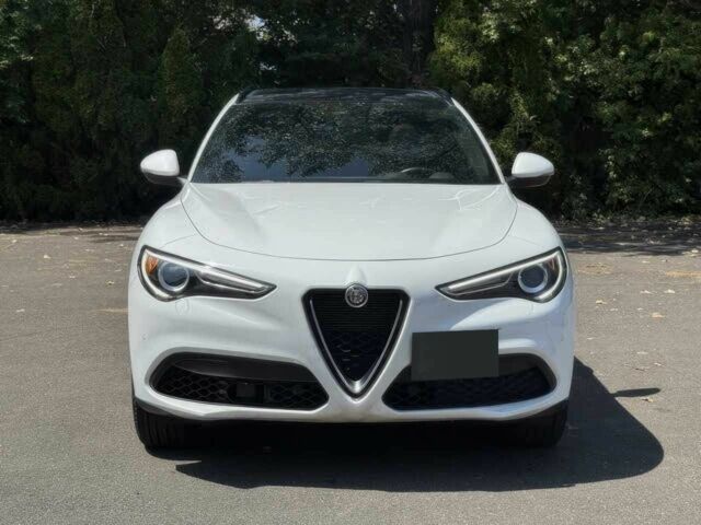 Білий Альфа stelvio, об'ємом двигуна 2 л та пробігом 29 тис. км за 16000 $, фото 1 на Automoto.ua