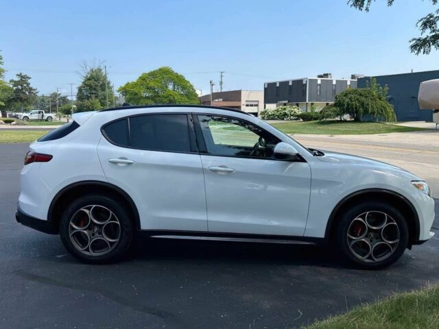 Белый Альфа stelvio, объемом двигателя 2 л и пробегом 21 тыс. км за 10000 $, фото 5 на Automoto.ua