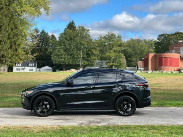 Черный Альфа stelvio, объемом двигателя 2 л и пробегом 32 тыс. км за 15000 $, фото 3 на Automoto.ua