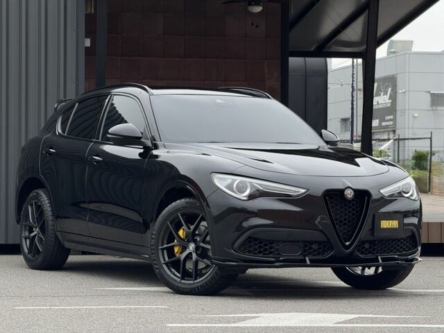 Черный Альфа stelvio, объемом двигателя 2 л и пробегом 82 тыс. км за 26350 $, фото 3 на Automoto.ua