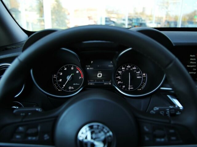 Коричневый Альфа stelvio, объемом двигателя 2 л и пробегом 32 тыс. км за 23000 $, фото 16 на Automoto.ua