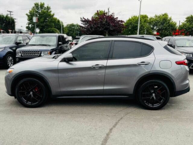 Сірий Альфа stelvio, об'ємом двигуна 2 л та пробігом 43 тис. км за 16300 $, фото 4 на Automoto.ua