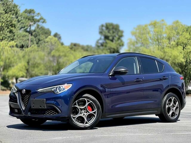 Синий Альфа stelvio, объемом двигателя 2 л и пробегом 30 тыс. км за 17000 $, фото 2 на Automoto.ua