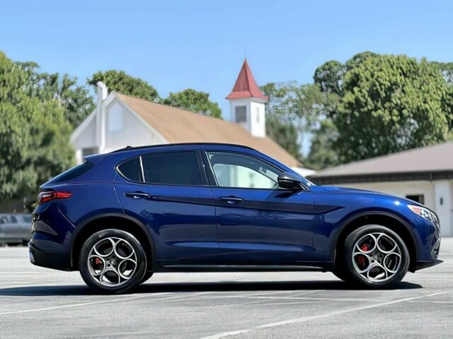Синий Альфа stelvio, объемом двигателя 2 л и пробегом 30 тыс. км за 17000 $, фото 7 на Automoto.ua
