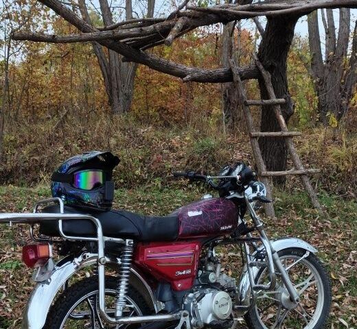 Альфа 110, об'ємом двигуна 0.11 л та пробігом 0 тис. км за 473 $, фото 5 на Automoto.ua