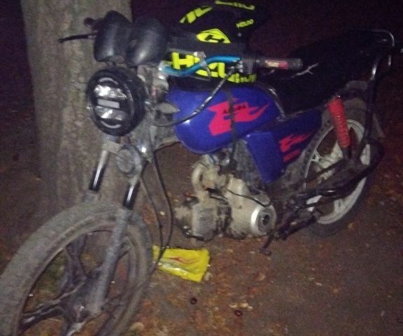 Альфа Другая, объемом двигателя 0.11 л и пробегом 0 тыс. км за 217 $, фото 1 на Automoto.ua