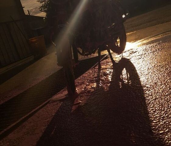 Альфа Другая, объемом двигателя 0.13 л и пробегом 0 тыс. км за 505 $, фото 2 на Automoto.ua